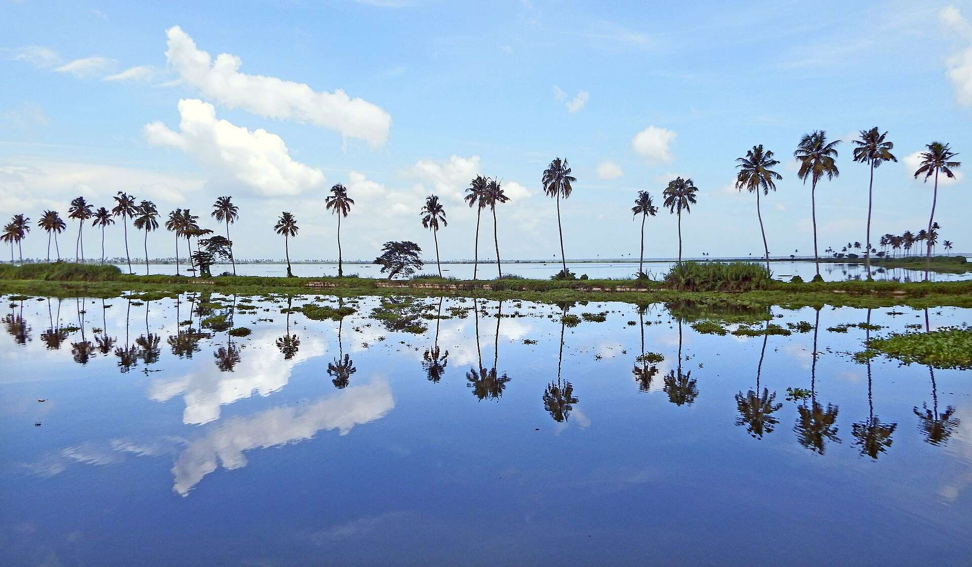 Vembanad_Lake_at_Kumarakom