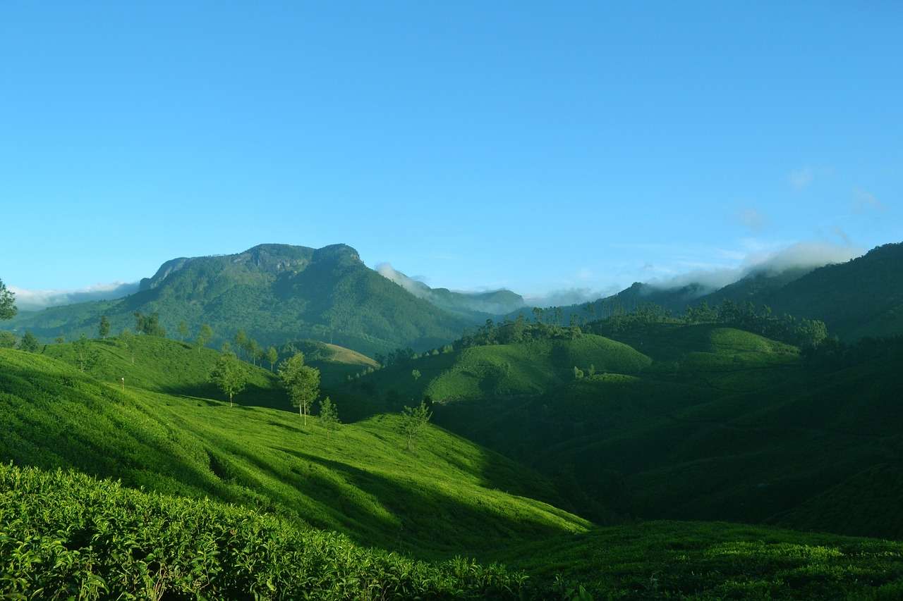 Lush green tea plantations in Kerala hills with misty mountains and clear blue sky